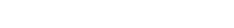 TechWiser